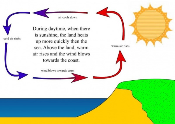 Science Report Screen 5 On Flowvella Presentation