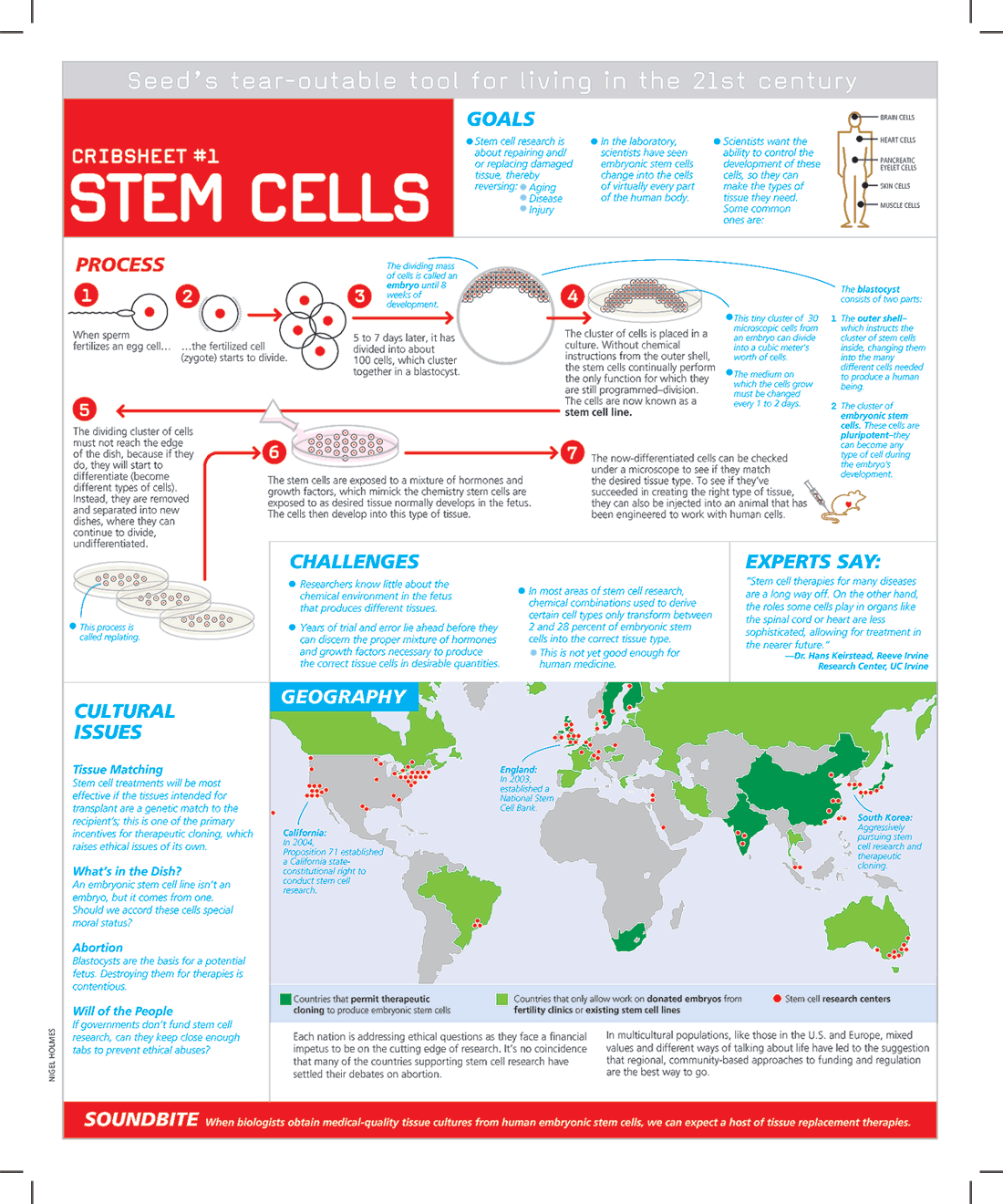 social ethical and political issues raised by the use of human embryos for research using stem cells social ethical and political issues raised by the use of human embryos for research using stem cells