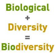 biodiversity pro manual