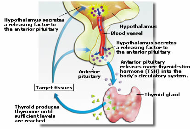 Dostinex online pharmacy